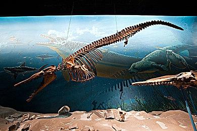 《夜族崛起》卖出250万份 未来更新细节即将公布