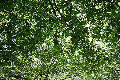 传华纳想出售旗下游戏部门 微软、索尼、腾讯等有兴趣