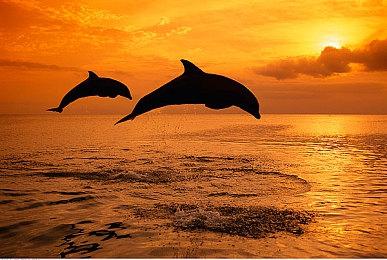 Epic放出神秘游戏线索 可能送《辐射：新维加斯》？